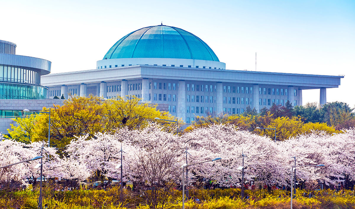 Når Seoul er bedst-kirsebærblomsterne i Yeouido Park