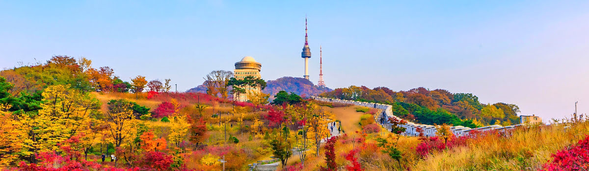 Najlepsza pora roku na wizytę w Seulu – porady i atrakcje sezonowe