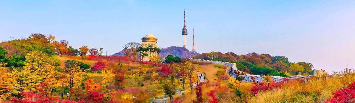 Når Seoul er bedst: Rejsetips og attraktioner til hele året