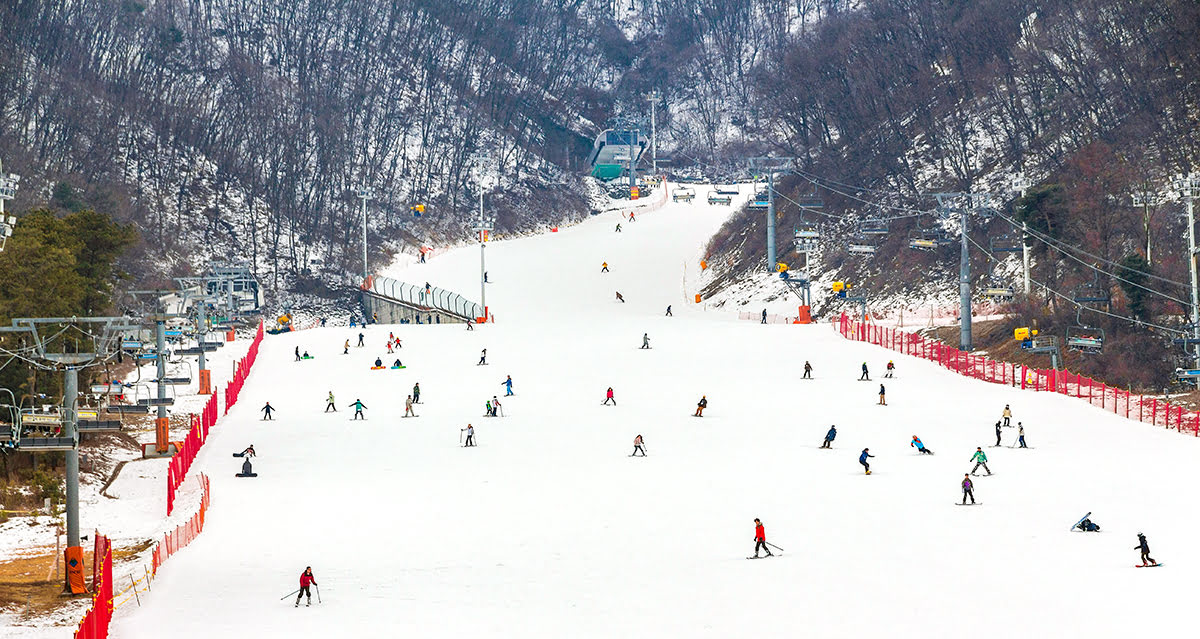 Η καλύτερη εποχή να επισκεφτείτε τη Σεούλ - χιονοδρομικό κέντρο Jisan Forest