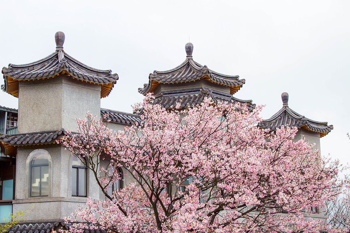 台北最佳游览季节——台北的春天