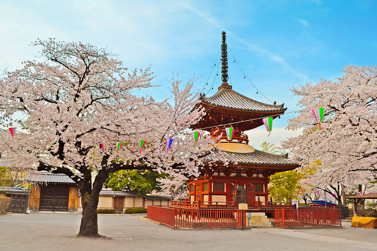 Perjalanan sehari dari Kuil Tokyo-Kawagoe-Kitain