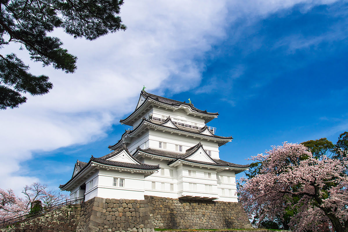Perjalanan sehari dari kastil Tokyo-Odawara-Odawara