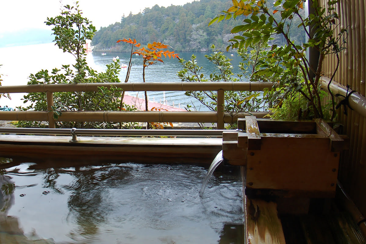 東京からの日帰り旅行-芦ノ湖温泉 ホテルむさしや