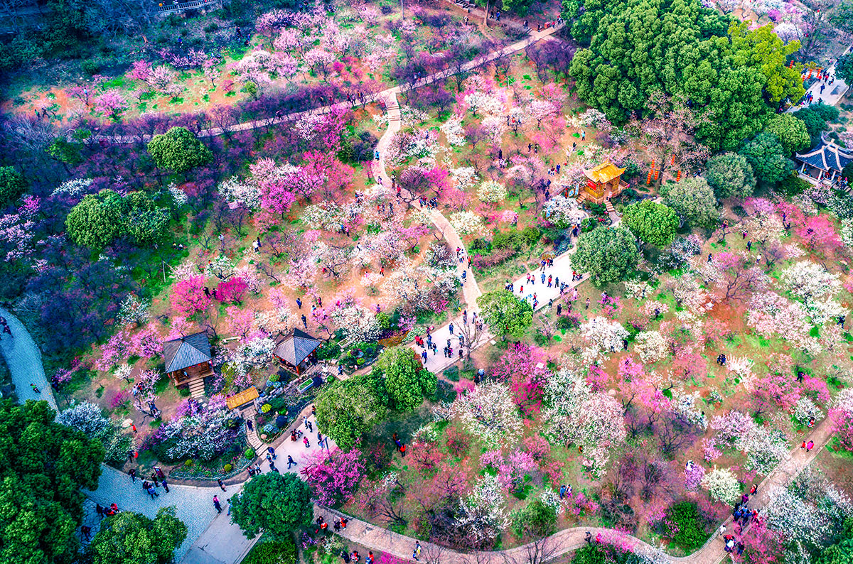 Seouls Naturschönheiten erkunden Hangang Park