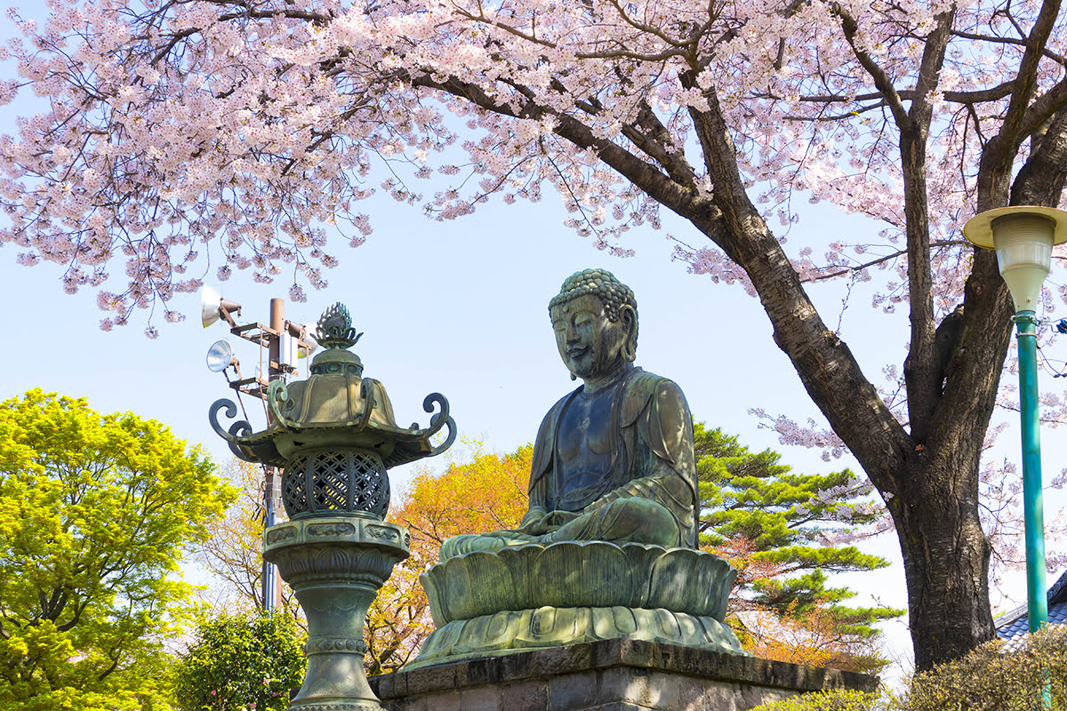 อิเคะบุคุโระ-Gokokuji Temple