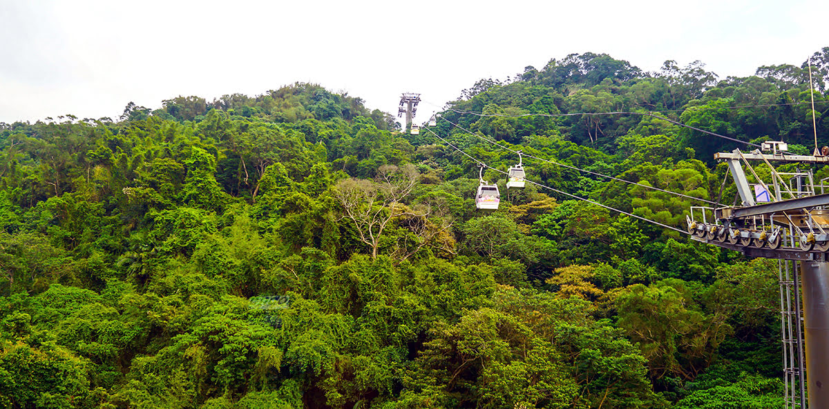 Ночная жизнь Тайбэя-Maokong Gondola Taipei Zoo