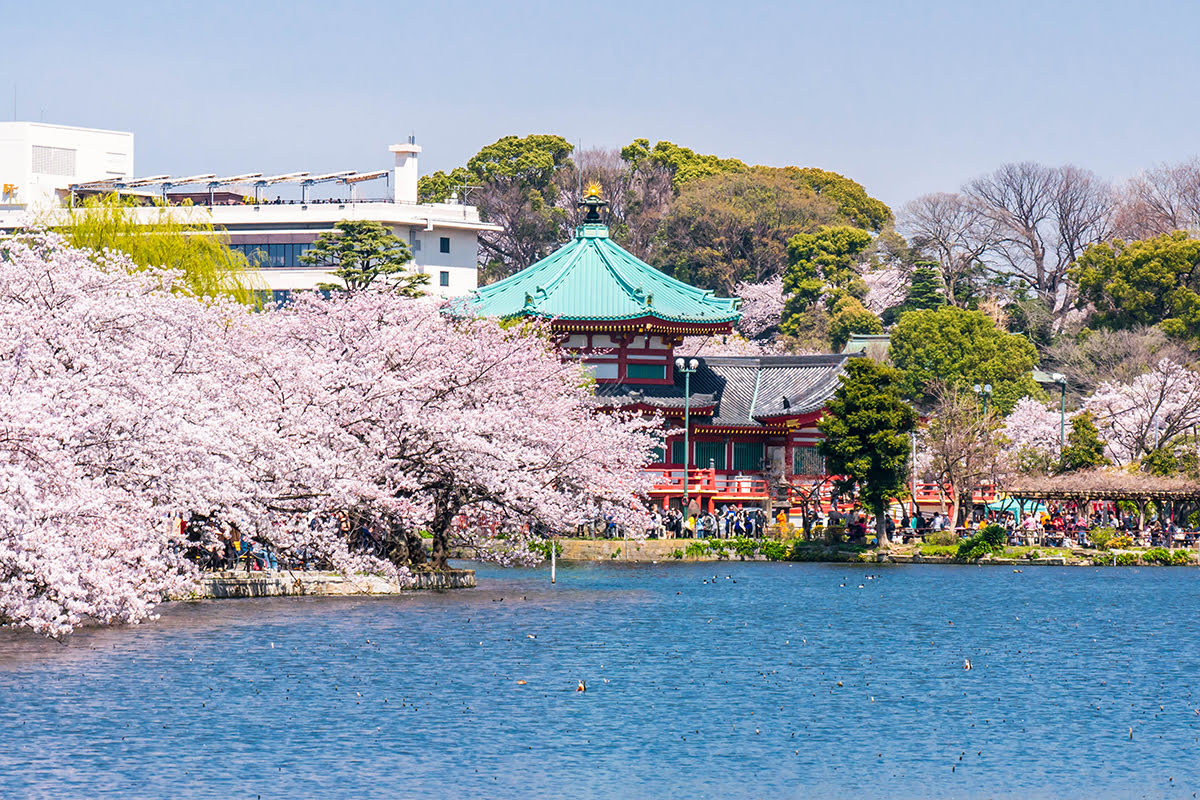 上野-上野公園