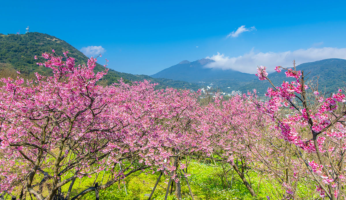 Beitou District-Taipei-Taiwan-spring-fall-Yangmingshan National Park