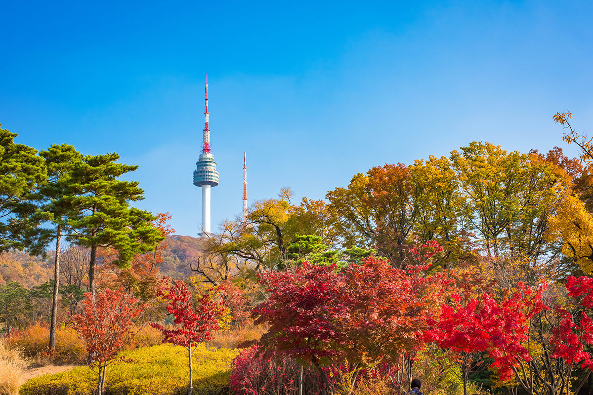 N Seoul Tower-Overview-N Seoul Tower en otoño