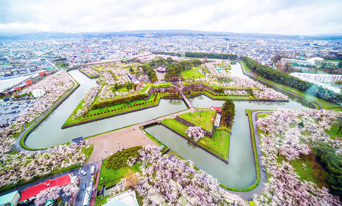 See cherry blossoms-Japan-sakura viewing-Matsumae Castle