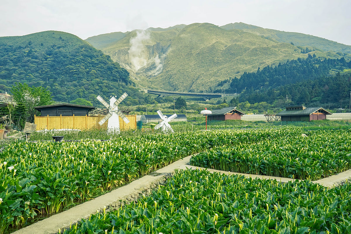 Targ nocny w Shilin-Tajpej-Yangmingshan