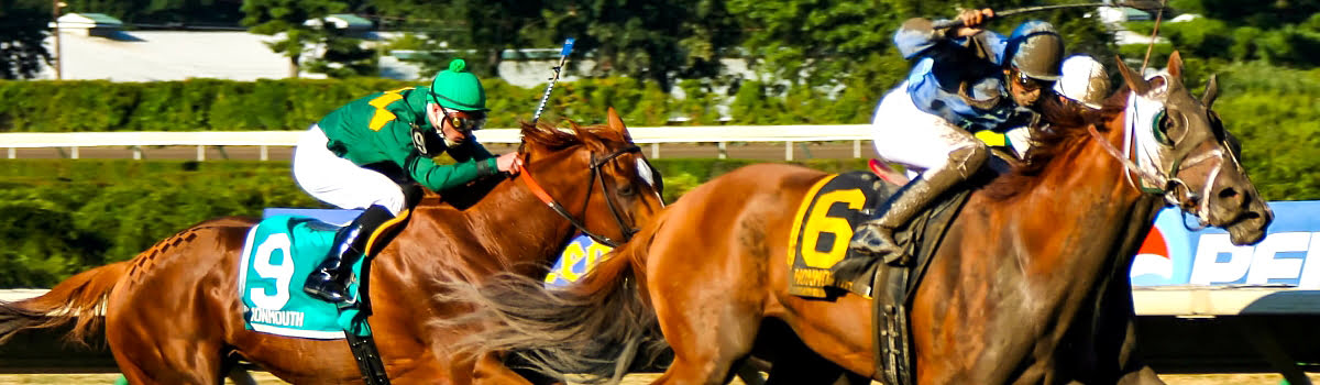 ทำความรู้จักการแข่งม้า Kentucky Derby รายการยิ่งใหญ่ของอเมริกา background image