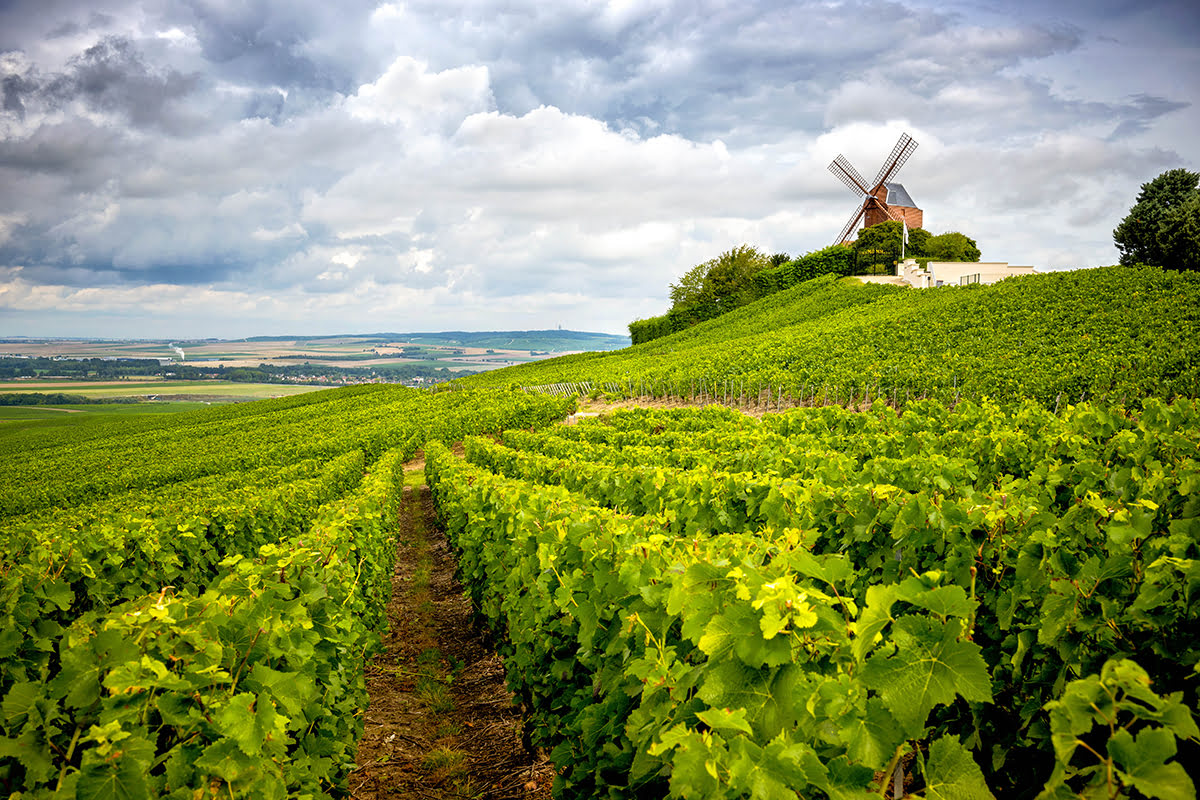 Excursions depuis Paris-France-voyage-La Région Champagne