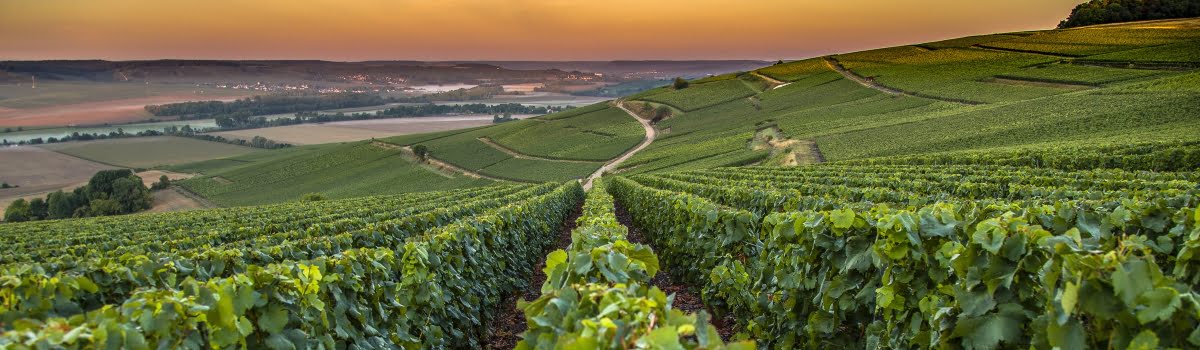 10 Great Day Trips from Paris | See the Countryside in France
