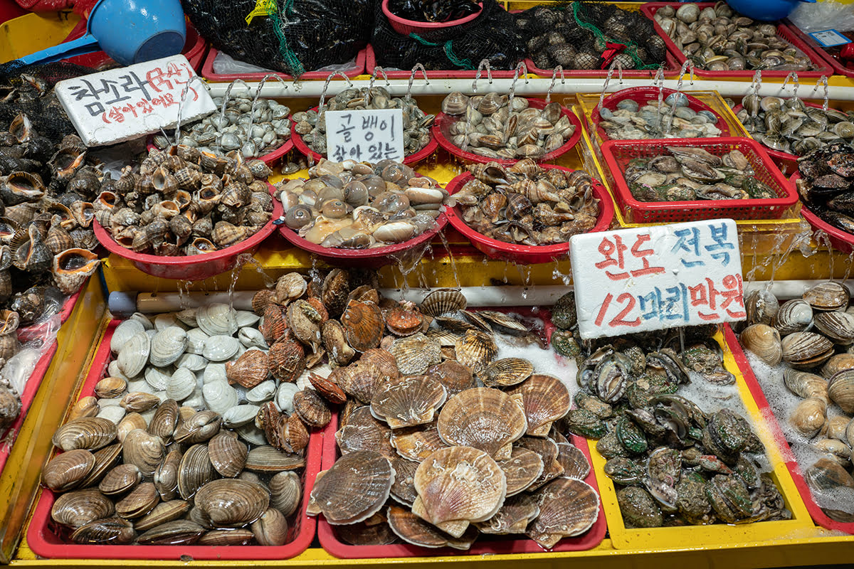 Seoul itinerary-South Korea travel-Incheon Fish Market