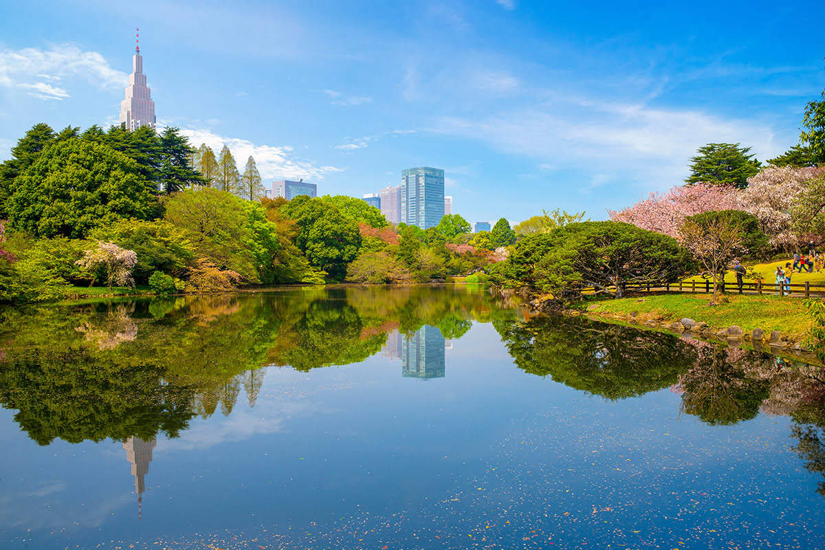 Voyage écologique à Tokyo Environnement durable