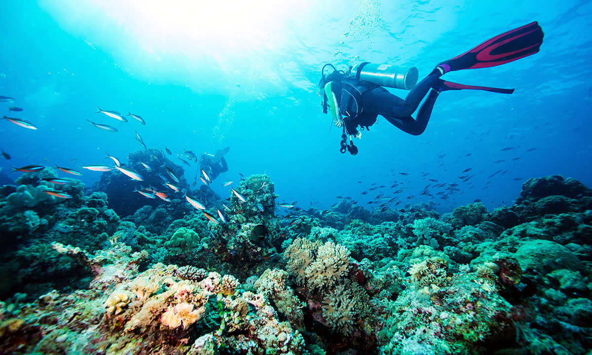 Things to do in Jeddah-Saudi Arabia-scuba diving-Obhur Beach