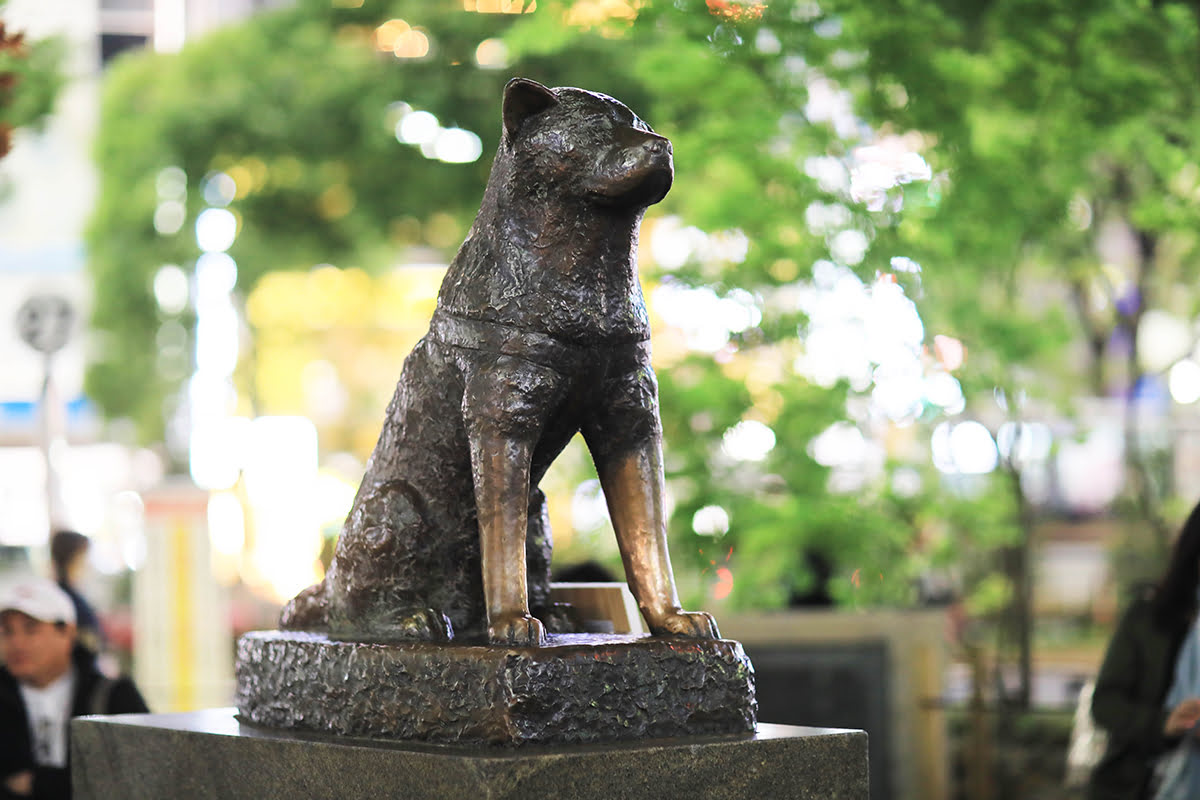 日本東京澀谷的八公雕像