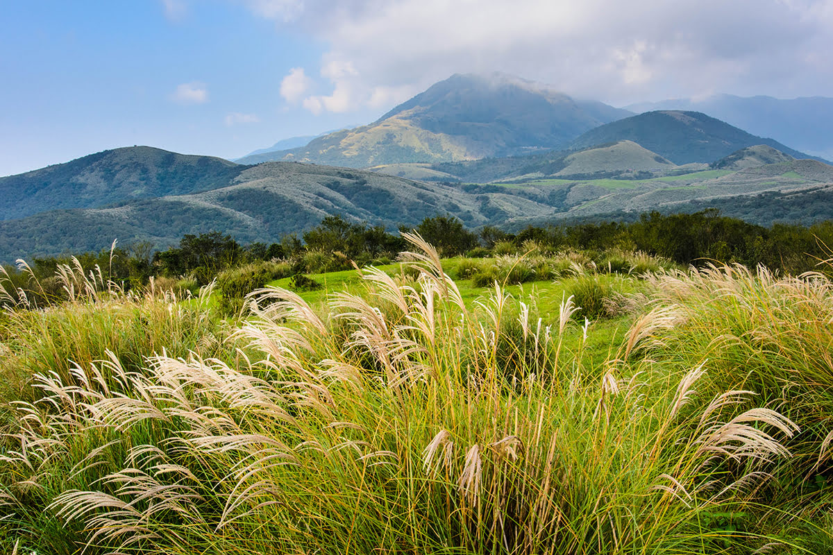 Things to do in Taipei-Taiwan-Yangmingshan National Park