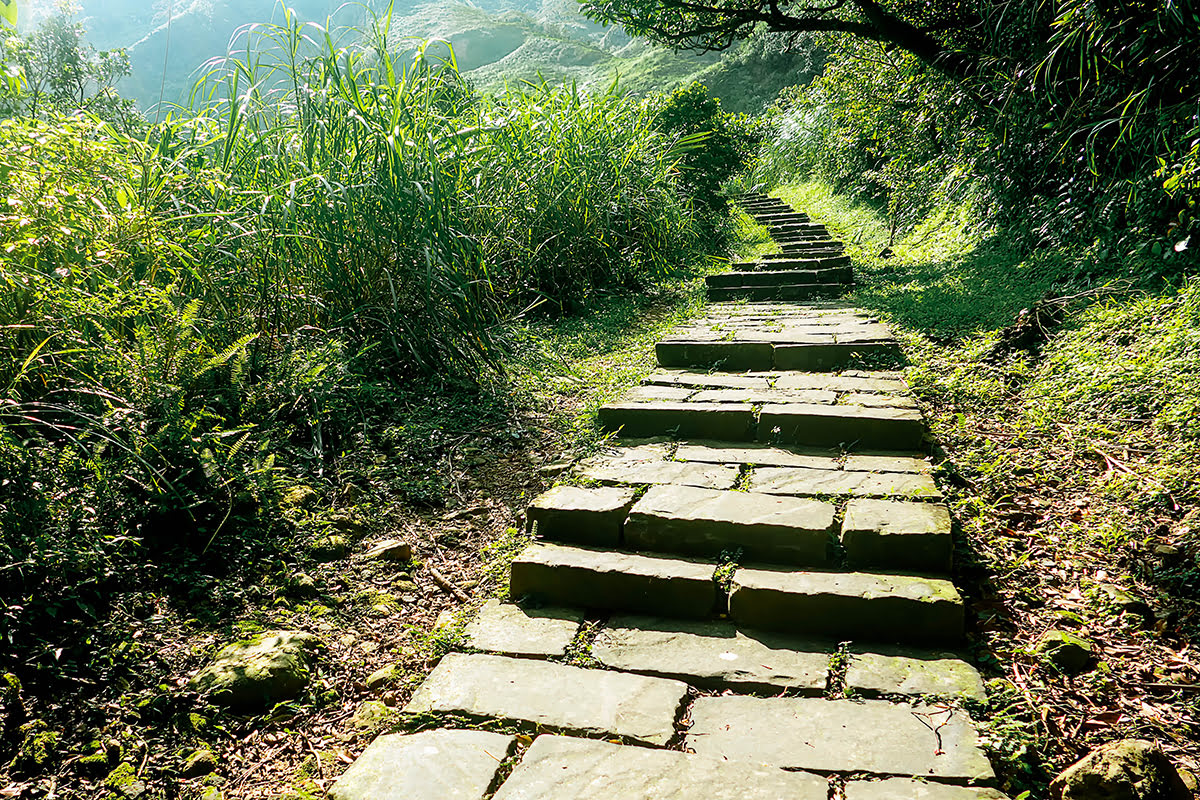 台北去哪玩 - 中正山亲山步道