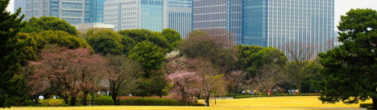 東京観光のモデルコースはこれ 3日間 5日間のおすすめプラン