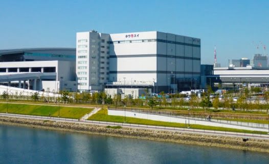 Toyosu Fish Market: Guide to Tokyo's Best Seafood Market