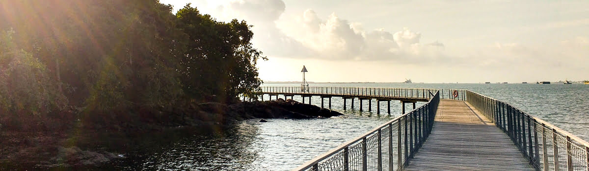 เกาะปูเลาอูบิน (Pulau Ubin): ที่เที่ยวเชิงอนุรักษ์และวันเดย์ทริปใกล้สิงคโปร์