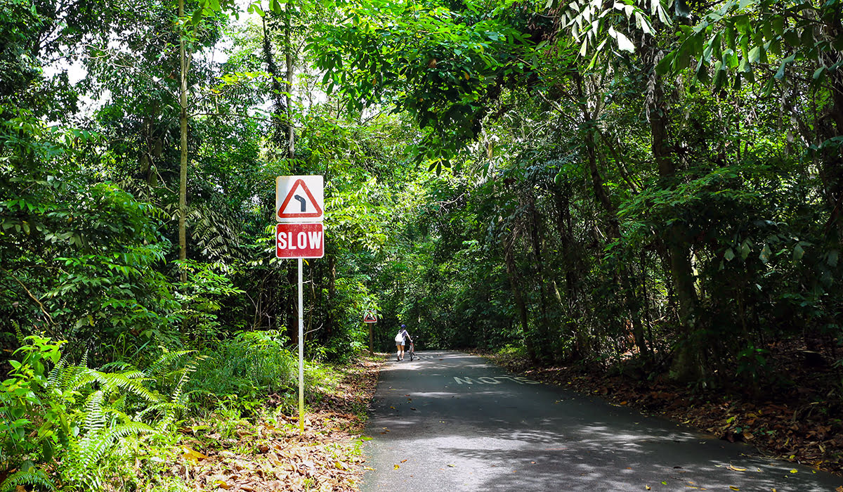 플라우 우빈(Pulau Ubin)-케탐 산악 자전거 공원(Ketam Mountain Bike Park)