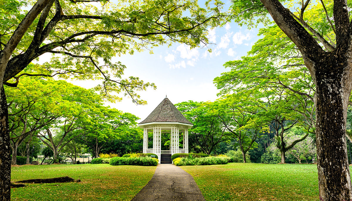Hotels in Singapore-Singapore Botanic Gardens