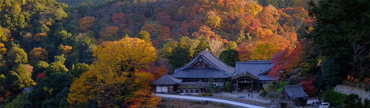 秋の奈良 | 日本の紅葉シーズンを満喫できる人気スポット