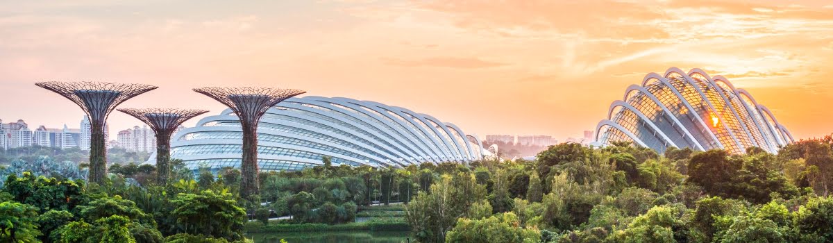 Gardens by the Bay: แผนที่ ตั๋วเข้าชม เวลาเปิด-ปิด และโชว์ยามค่ำคืน