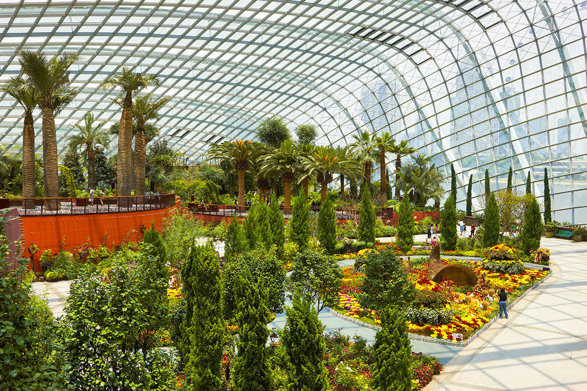 Gardens by the Bay-Flower Dome