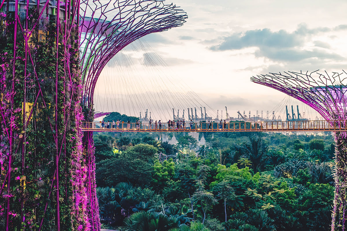 Gardens by the Bay-OCBC Skyway
