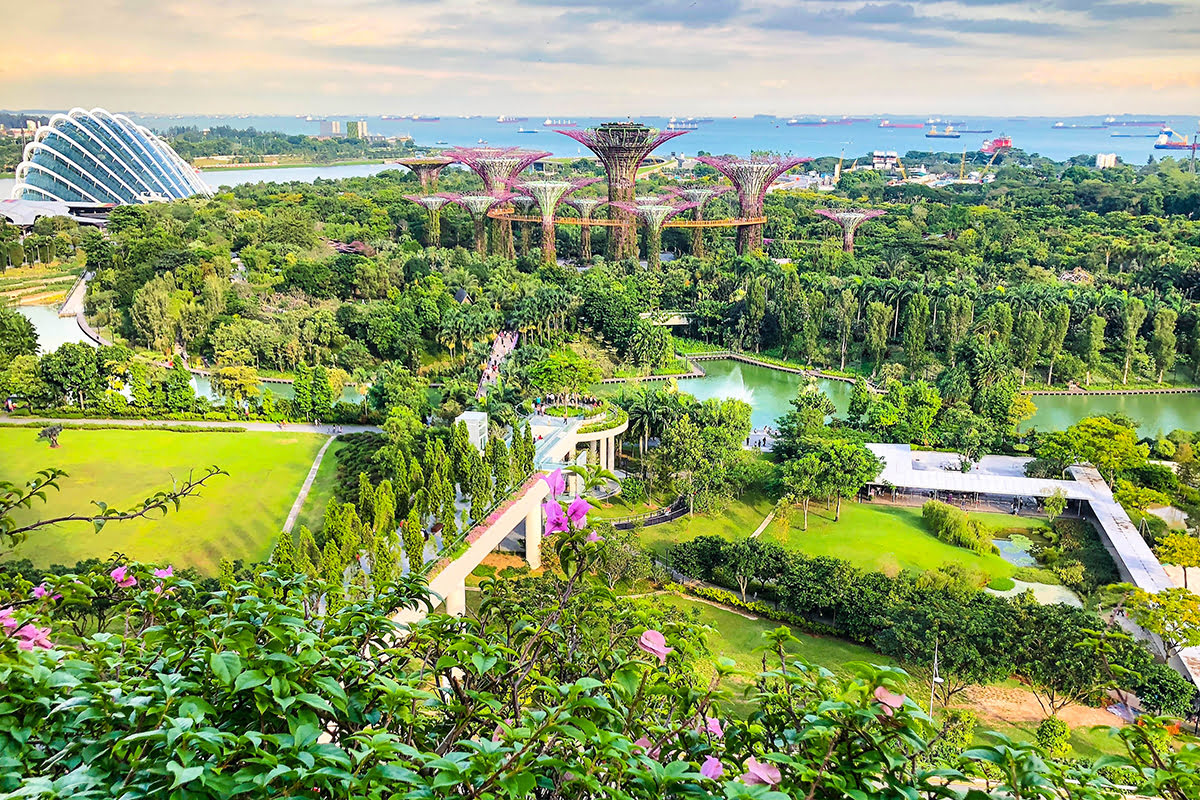 Gardens by the Bay-วิวพาโนรามา