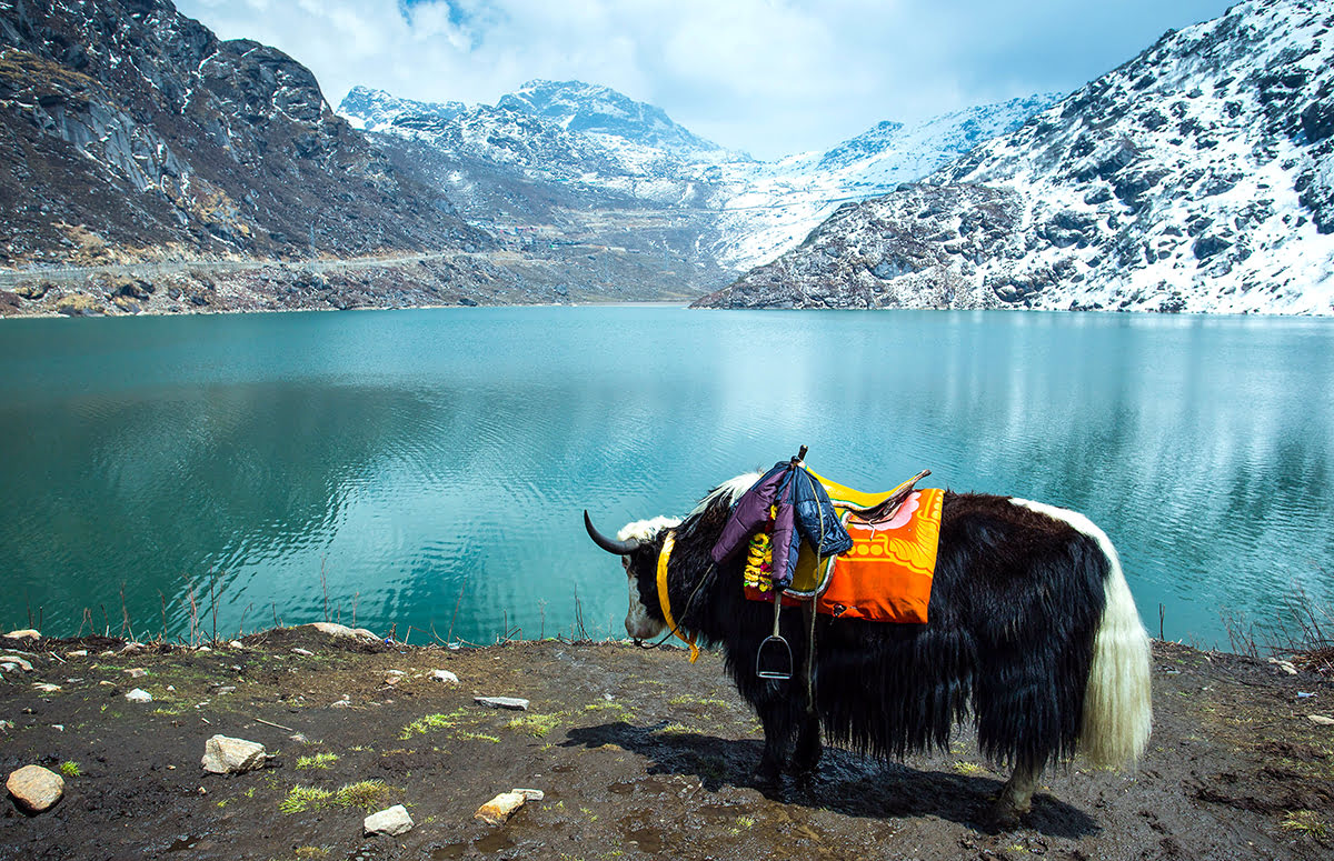 Trips in the Himalayas-Sikkim-Tsongmo Lake