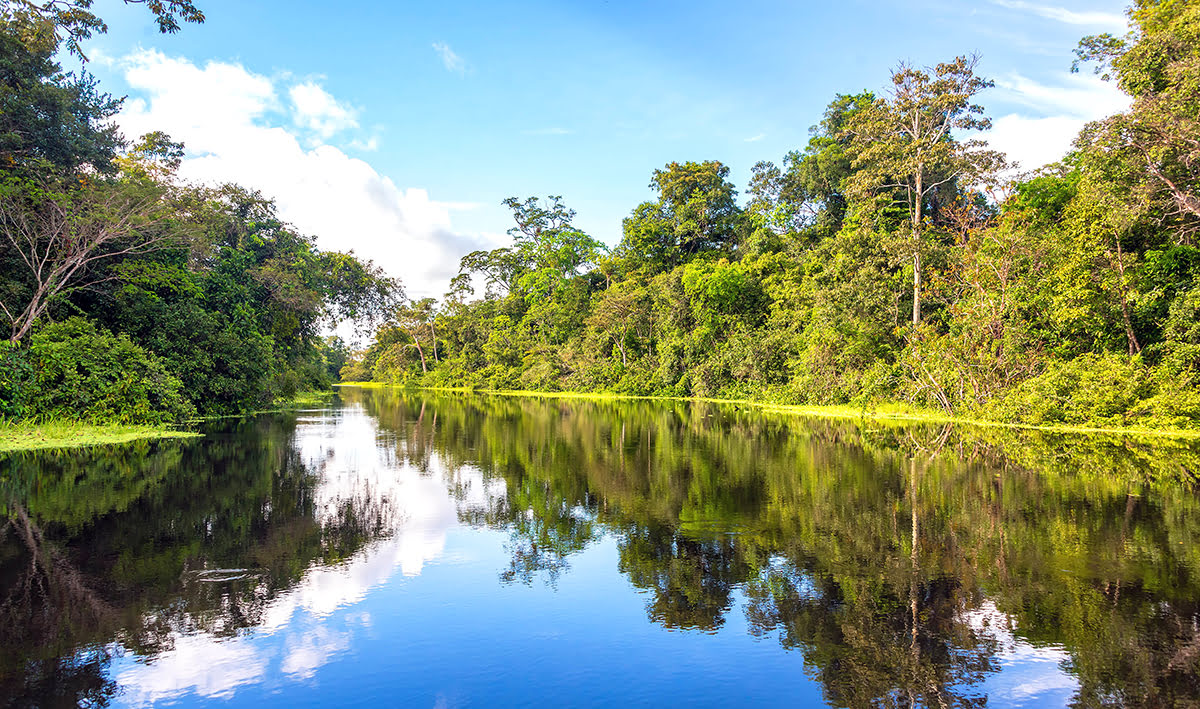 Hiking in Peru-treks-Peruvian Amazon