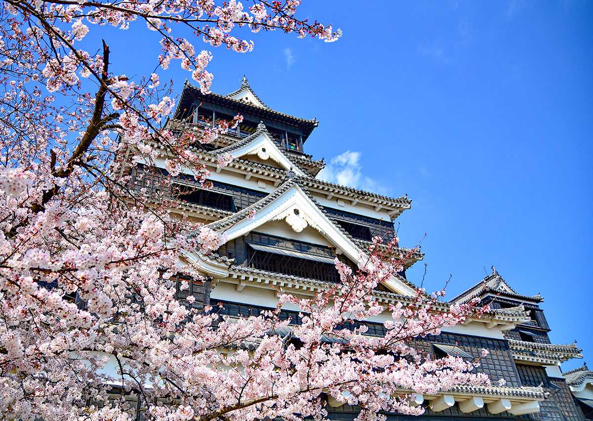 규슈(Kyushu)를 방문하기에 가장 좋은 시기-후쿠오카(Fukuoka) 성-벚꽃-사쿠라(sakura)