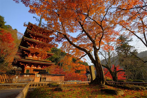 Autumn in Nara-Hasedera Temple4