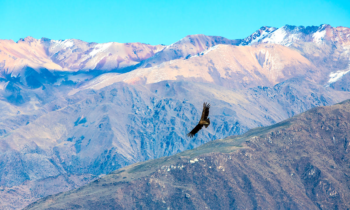 Hiking in Peru-treks-Colca Canyon