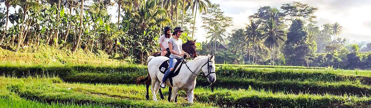 Honeymoon Homestays in Bali | Romantic Villas in Ubud & Seminyak