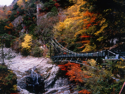 Autumn in Nara-Mitarai Valley