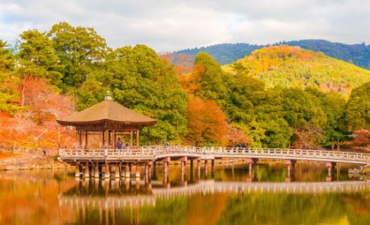 เที่ยวนารา (Nara) ในฤดูใบไม้ร่วง : วางแผนทริปใบไม้เปลี่ยนสีโดยการเช่ารถขับเที่ยวเอง