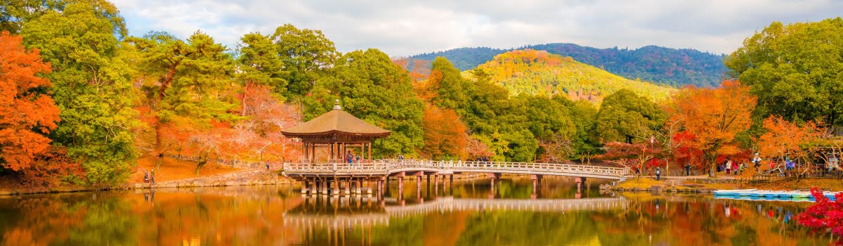 奈良の秋の旅程：レンタカーで紅葉ツアーを計画