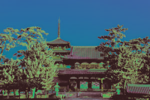 Храм Кофукудзи Нара