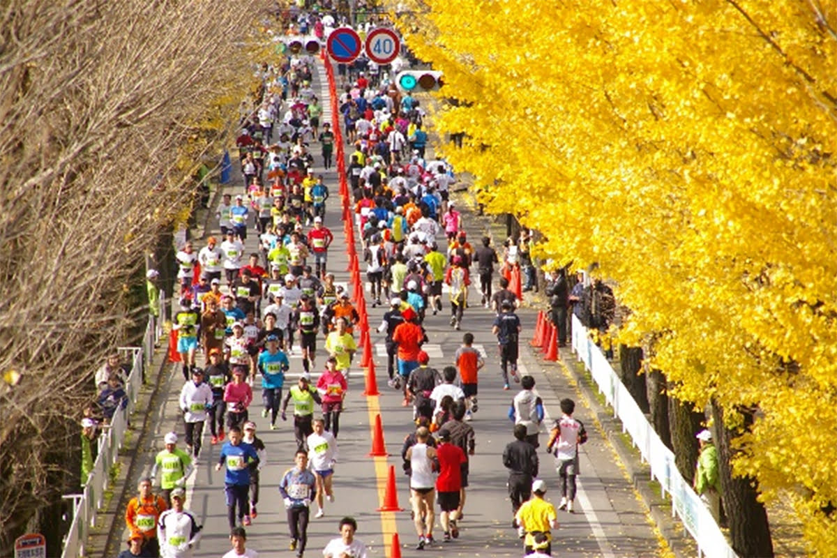 Nara events-Nara Marathon
