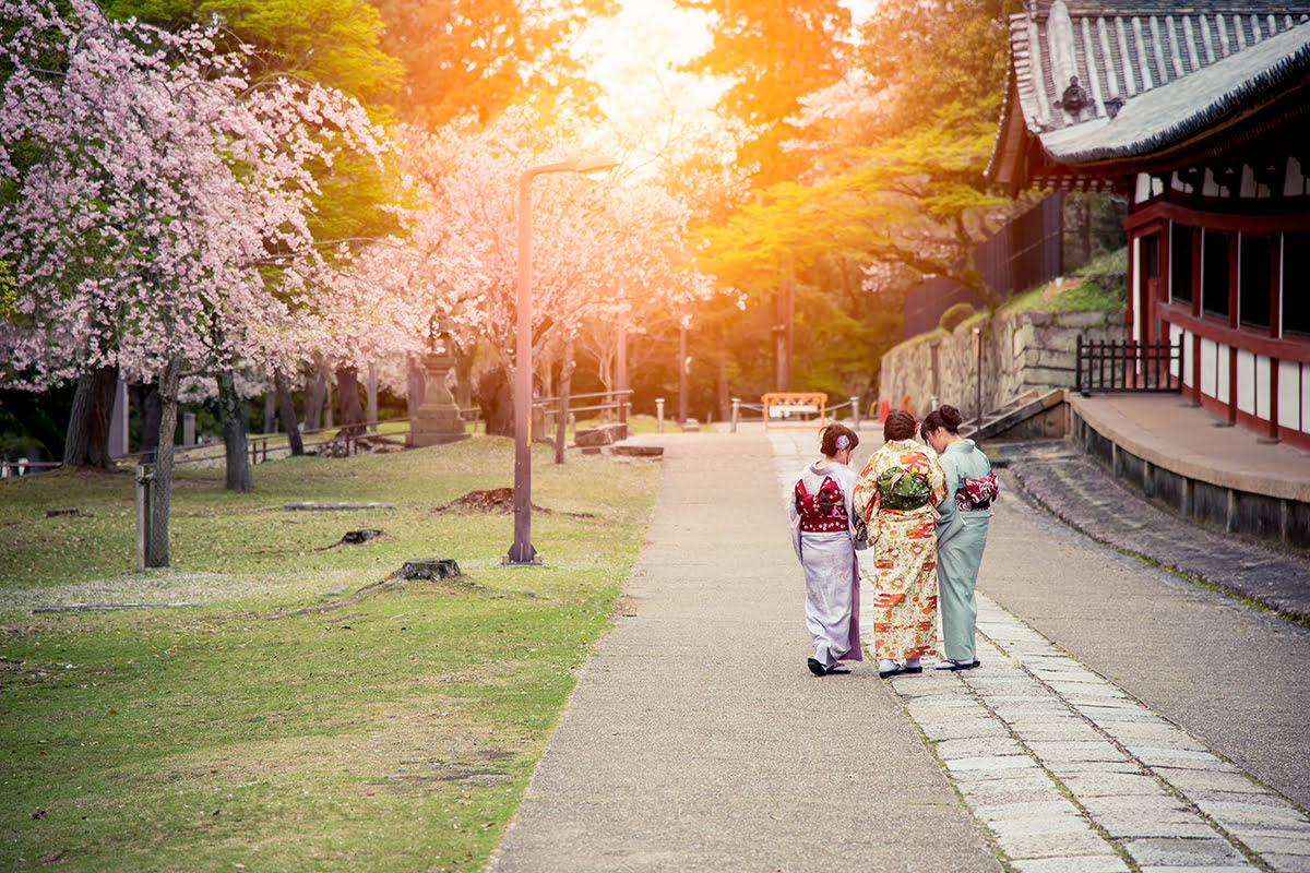 日本奈良的櫻花