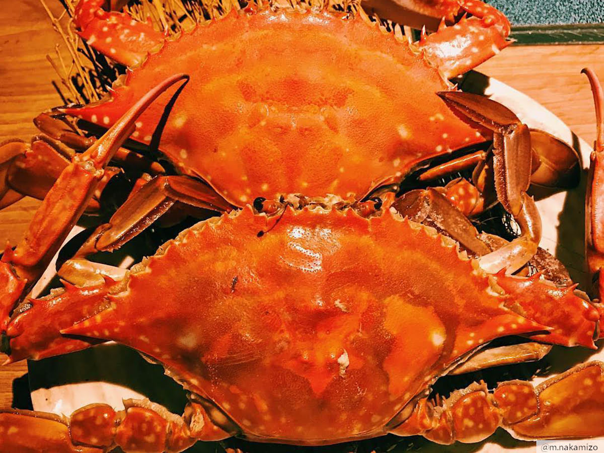 4-day Kyushu itinerary-Takezaki Crab