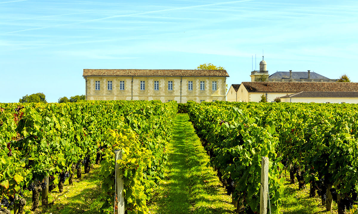 Wine tasting tours-vineyards-wineries-Bordeaux-Château Franc-Mayne-Château La Dominique