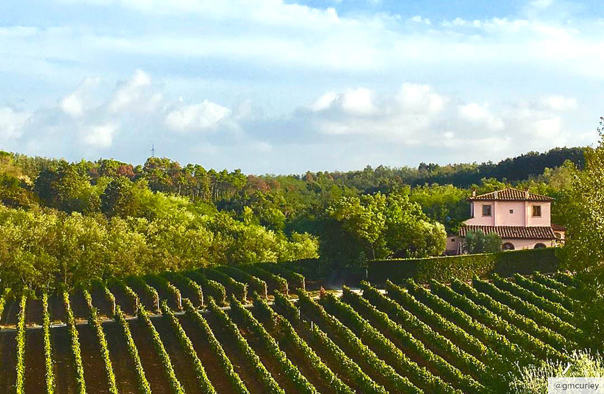 Wine tasting tours-vineyards-wineries-Tuscany-Castello di Fonterutoli-Poderi Di Capo Duomo Estate